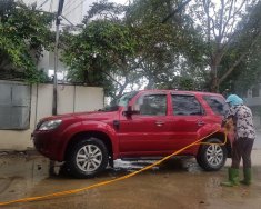 Ford Escape   2014 - Bán Ford Escape đời 2014, xe gia đình giá 460 triệu tại Tp.HCM
