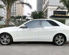 Mercedes-Benz E class 2014 - Bán Mercedes đời 2014, màu trắng giá 1 tỷ 20 tr tại Hải Dương
