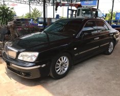 Hyundai XG 2004 - Bán Hyundai XG đời 2004, màu đen, nhập khẩu giá cạnh tranh giá 345 triệu tại Kiên Giang