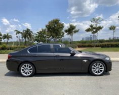 BMW 5 Series   2017 - Cần bán BMW 520i đời 2017, nhập khẩu giá 1 tỷ 580 tr tại Tp.HCM