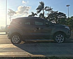 Ford EcoSport   2015 - Bán xe Ford EcoSport năm 2015, giá 410 triệu giá 410 triệu tại Bình Định