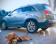 Kia Sorento   2013 - Bán ô tô Kia Sorento sản xuất năm 2013, nhập khẩu nguyên chiếc giá 589 triệu tại Kon Tum