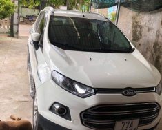 Ford EcoSport 2016 - Bán ô tô Ford EcoSport năm sản xuất 2016, màu trắng, xe nhập, 480 triệu giá 480 triệu tại Bình Định