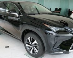 Lexus NX 300 2020 - Bán xe hạng sang - Chính hãng 100%: Lexus NX 300 sản xuất 2020, màu đen giá 2 tỷ 560 tr tại Hà Nội