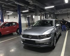 Volkswagen Passat Bluemotion 2019 - Bán ô tô Volkswagen Passat Bluemotion đời 2019, màu bạc, nhập khẩu nguyên chiếc giá 1 tỷ 480 tr tại Tp.HCM