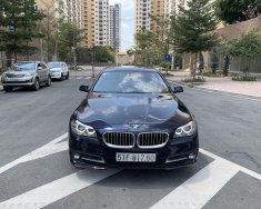 BMW 5 Series   2016 - Bán ô tô BMW 520i sản xuất 2016, nhập khẩu giá 1 tỷ 450 tr tại Tp.HCM