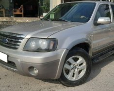 Ford Escape  XLT  2008 - Bán Ford Escape XLT sản xuất 2008 đẹp như mới giá 257 triệu tại Tp.HCM