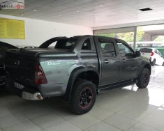 Isuzu Dmax   2010 - Bán Isuzu Dmax LS 3.0 4x2 AT 2010, màu xám, xde nhập   giá 295 triệu tại Nghệ An