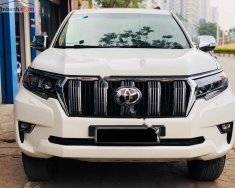 Toyota Prado 2010 - Bán Toyota Prado năm sản xuất 2010, màu trắng, nhập khẩu giá 1 tỷ 120 tr tại Hà Nội