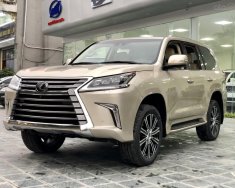 Lexus LX 570 MBS 2020 - Cần bán xe Lexus LX 570 MBS sản xuất năm 2020, màu trắng, nhập khẩu giá 10 tỷ 333 tr tại Bình Dương