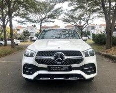 Mercedes-Benz GLE-Class GLE 450 4matic 2019 - Bán Mercedes GLE 450 4matic sản xuất năm 2019, màu trắng, odo 1.500km giá 4 tỷ 370 tr tại Tp.HCM