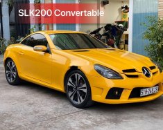 Mercedes-Benz SLK class   2007 - Cần bán gấp Mercedes SLK class năm sản xuất 2007, nhập khẩu nguyên chiếc giá 720 triệu tại Tp.HCM