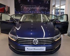 Volkswagen Passat 2019 - Bán ô tô Volkswagen Passat 2019, màu xanh lam, nhập khẩu chính hãng giá 1 tỷ 480 tr tại Tp.HCM