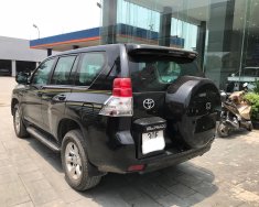 Toyota Prado TXL 2009 - Bán Toyota Prado TXL 2009, màu đen, nhập khẩu chính hãng giá 880 triệu tại Hà Nội