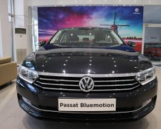 Volkswagen Passat Bluemotion  2019 - Cần bán Volkswagen Passat Bluemotion đời 2019, màu đen, nhập khẩu chính hãng giá 1 tỷ 480 tr tại Tp.HCM