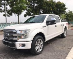 Ford F 150 2015 - Bán nhanh với giá ưu đãi nhất chiếc Ford F150 sản xuất năm 2015, động cơ ổn định giá 2 tỷ 980 tr tại Hà Nội