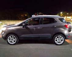 Ford EcoSport 2018 - Bán Ford EcoSport sản xuất 2018, màu xám chính chủ, giá 460tr giá 460 triệu tại Quảng Nam