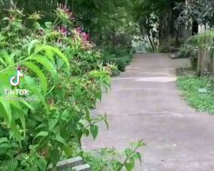 Audi TT 2021 - Cần bán Audi TT sản xuất 2021 giá 500 triệu tại Hà Nội