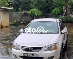 Kia Cerato 2008 - Bán Kia Cerato năm 2008, màu trắng, 195tr giá 195 triệu tại Đắk Lắk