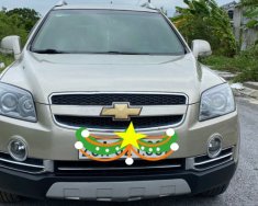 Chevrolet Captiva   LTZ  2010 - Cần bán lại xe Chevrolet Captiva LTZ sản xuất 2010, màu vàng giá 265 triệu tại Thanh Hóa