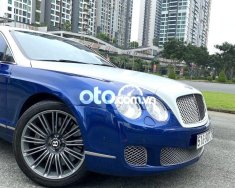 Bentley Continental 2009 - Bán Bentley Continental năm 2009, hai màu, nhập khẩu nguyên chiếc giá 1 tỷ 850 tr tại Tp.HCM