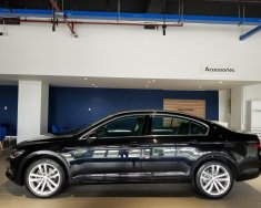 Volkswagen Passat 2018 - Volkswagen Passat Bluemotion giảm mạnh 200tr - Sedan nhập khẩu trực tiếp đẳng cấp của Đức giá 1 tỷ 280 tr tại Tp.HCM