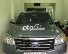 Ford Everest Limited 2009 - Xe Ford Everest Limited 2009, màu xám còn mới giá 380 triệu tại Tp.HCM