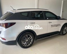 Hyundai Santa Fe 2016 - Bán Hyundai Santa Fe đời 2016, màu trắng, nhập khẩu, giá 710tr giá 710 triệu tại Sóc Trăng