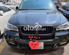 BMW X5 2009 - Bán BMW X5 năm sản xuất 2009, màu đen, nhập khẩu nguyên chiếc còn mới giá 650 triệu tại Tp.HCM