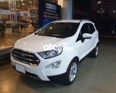 Ford EcoSport   Titanium 1.5L 2020 - Bán Ford EcoSport Titanium 1.5L đời 2020, màu trắng giá cạnh tranh giá 535 triệu tại Cà Mau