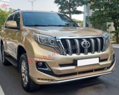 Toyota Prado   TXL 2.7L   2012 - Bán Toyota Prado TXL 2.7L sản xuất năm 2012, màu vàng, nhập khẩu giá 1 tỷ 70 tr tại Hà Nội