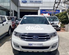 Ford Everest Titanium 4x2 2019 - Bán ô tô Ford Everest Titanium 4x2 đời 2019, màu trắng, nhập khẩu số tự động giá 1 tỷ 8 tr tại Kiên Giang