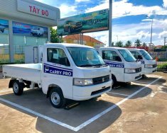 Suzuki Carry 2021 2021 - Bán Suzuki Carry Pro 2021, màu trắng giá 280 triệu tại Hà Nội