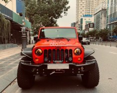 Jeep Wrangler 2009 - Cần bán xe Jeep full Offroad giá 1 tỷ 950 tr tại Tp.HCM