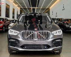 BMW X4   X-Line 2019 - Bán BMW X4 X-Line 2019, màu xám, nhập khẩu giá 2 tỷ 439 tr tại Hà Nội