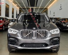 BMW X4   2019 - Bán xe BMW X4 đời 2019, màu xám, nhập khẩu nguyên chiếc giá 2 tỷ 439 tr tại Hà Nội