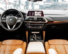 BMW X4   Xdrive 20i 2019 - Bán ô tô BMW X4 Xdrive 20i năm sản xuất 2019, màu xám, nhập khẩu giá 2 tỷ 439 tr tại Hà Nội