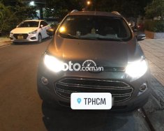 Ford EcoSport   Titanium   2015 - Cần bán Ford EcoSport Titanium đời 2015, màu xám còn mới giá 420 triệu tại Tp.HCM