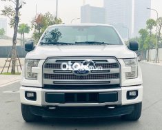 Ford F 150 Platinum  2016 - Cần bán gấp Ford F 150 Platinum đời 2016, màu trắng, nhập khẩu nguyên chiếc giá 2 tỷ 830 tr tại Hà Nội