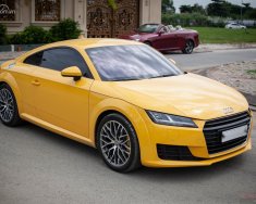 Audi TT 2016 - Bán ô tô Audi TT TFSI sản xuất 2016, màu vàng, nhập khẩu nguyên chiếc giá 1 tỷ 599 tr tại Tp.HCM