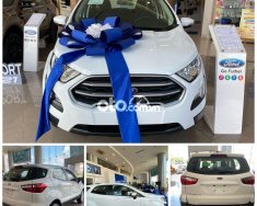 Ford EcoSport  1.5L AT   2021 - Bán xe Ford EcoSport 1.5L AT năm 2021, màu trắng giá 599 triệu tại Kiên Giang