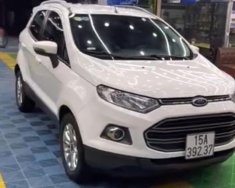 Bán Ford EcoSport Titanium sản xuất năm 2014, màu trắng giá 390 triệu tại Hà Nội