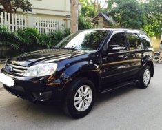 Ford Escape XLS 2009 - Cần bán gấp Ford Escape XLS năm sản xuất 2009, màu đen giá 325 triệu tại Tp.HCM