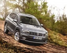 Volkswagen Tiguan 2.0AT 2022 - Bán Volkswagen Tiguan 2.0AT sản xuất 2022, nhập khẩu nguyên chiếc giá 1 tỷ 799 tr tại Quảng Ninh