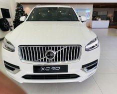 Volvo XC90 2022 - Phiên bản mới nhất, cao cấp nhất của Volvo giá 3 tỷ 950 tr tại Đà Nẵng