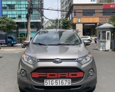 Ford EcoSport Titanium  2017 - Ford Ecosport Titanium 2017 xám giá 455 triệu tại Tp.HCM