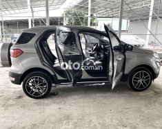 Ford EcoSport   1.5L AT 2021 - Bán Ford EcoSport 1.5L AT năm 2021, màu bạc, nhập khẩu nguyên chiếc  giá 595 triệu tại Kiên Giang