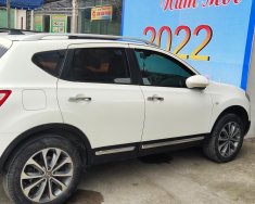 Nissan Qashqai 2010 - Bán Nissan Qashqai LE 2010, màu trắng giá 365 triệu tại Nghệ An