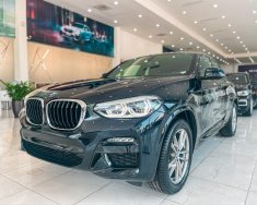 BMW X4 2021 - Bán xe BMW X4 xDrive20i M Sport năm 2021, màu đen giá 3 tỷ 79 tr tại Hải Phòng