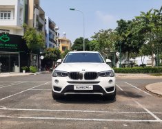 BMW X3 2017 - Bán BMW X3 xDrive20i sản xuất 2017, màu trắng, nhập khẩu nguyên chiếc giá 1 tỷ 390 tr tại Tp.HCM